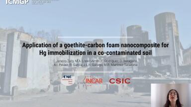 Application of a goethite-carbon foam nanocomposite for Hg immobilization in a co-contaminated soil